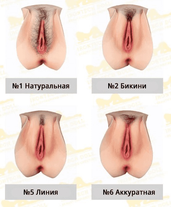 Интимная прическа