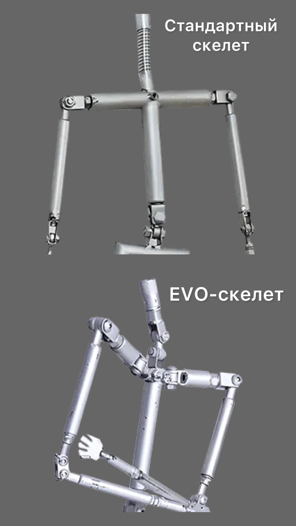 Evo-скелет